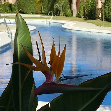 Atalaya De Apartment