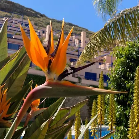 Apartment Atalaya De *